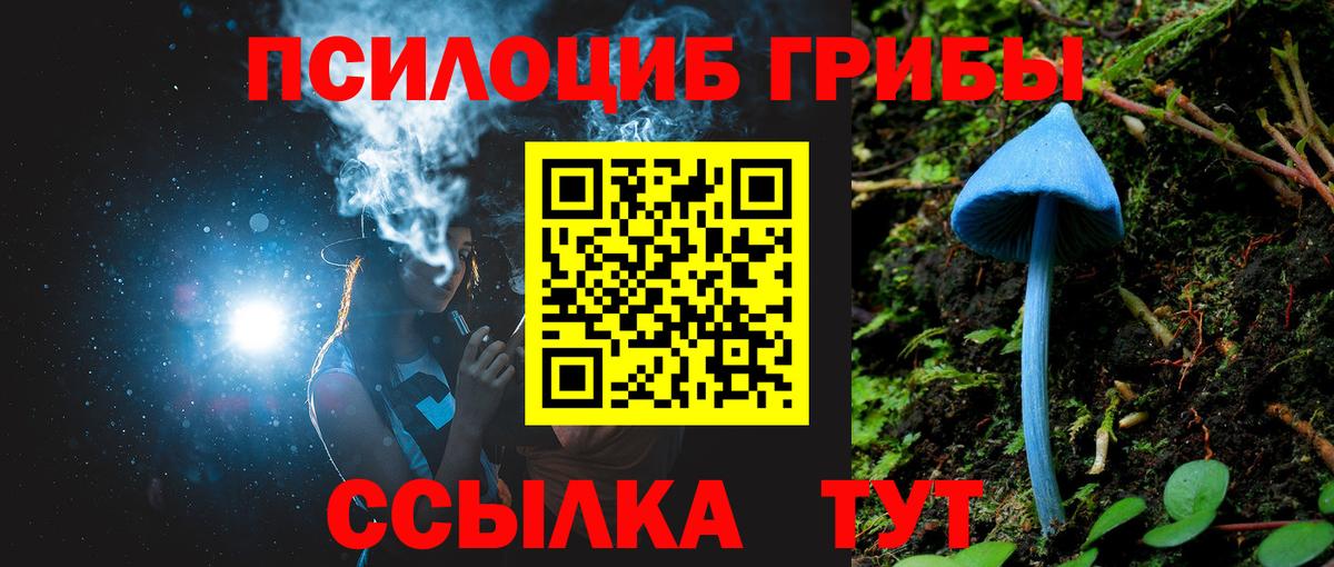 Псилоцибиновые грибы Psilocybine cubensis Великий Устюг