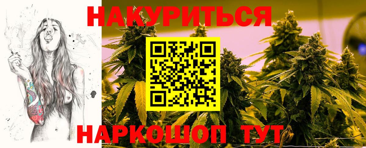 Конопля гибрид Великий Устюг